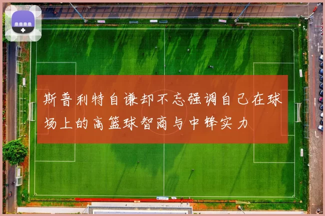 斯普利特自谦却不忘强调自己在球场上的高篮球智商与中锋实力