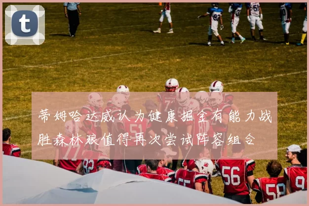 蒂姆哈达威认为健康掘金有能力战胜森林狼值得再次尝试阵容组合